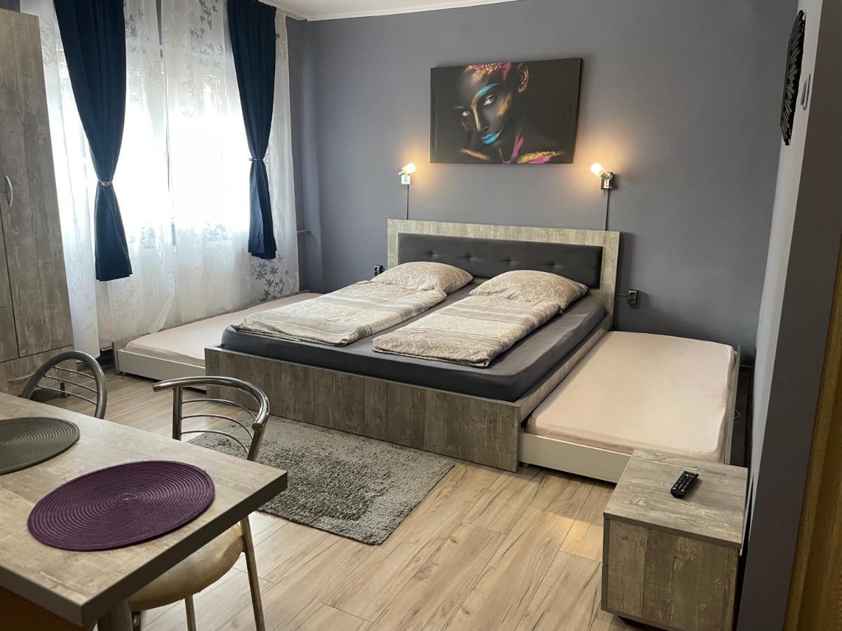 Апартаменти Garsoniera Paco Беїле-Фелікс Екстер'єр фото